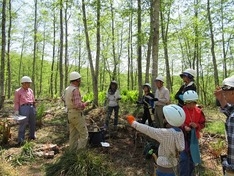 林業体験は6歳から70代まで参加（財団提供）
