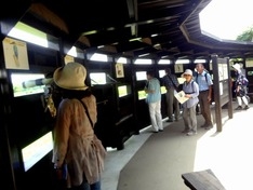 望遠鏡による野鳥観察