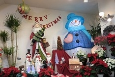 店内ディスプレイが素敵です