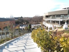 モンベルから鶴間公園へ