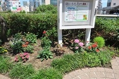 溝ノ口駅前キラリデッキ会員募集案内