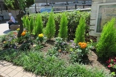 キラリデッキは、いこいの場