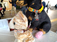 名札、犬の鑑札、飼い主の明示は必須