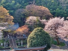 高尾山口駅から