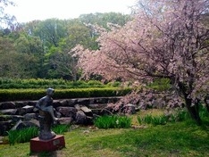片倉城址公園 桜と少女像