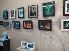 立体写真展開催中              (貸しギャラリースペース)