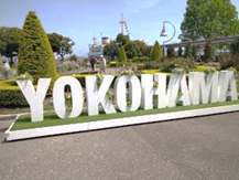 公園入口 園内、海にはゴミがない