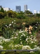 ランドマークを背景に