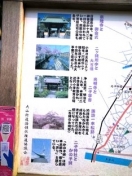 高津区内沿道の見どころ紹介