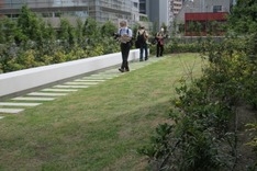 時計塔の下は屋上庭園に