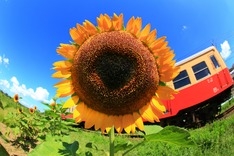 中井精也さん提供