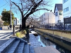 ⑴二ヶ領用水 水辺の散策路