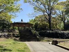(5)11haもある王禅寺公園