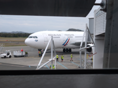 フランス政府手配の救出機