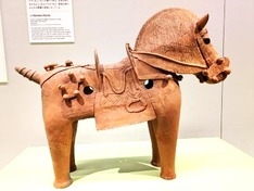 鞍を付けた馬