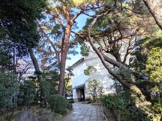 美術館入口、撮影者のすぐ後ろは環七