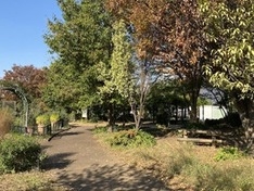 ⑵小径や木陰など子どもが好きな遊び場がある