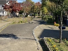 ⑶のどかに続く散策路