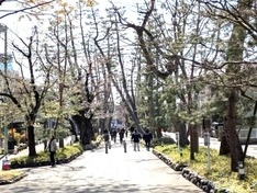 駅より徒歩1分の参道