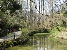 太郎美術館前の「奥の池」