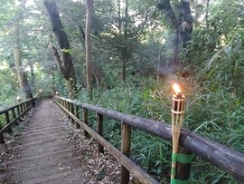 思い出のうたの小径